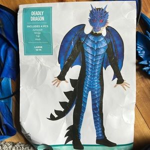 Dragon costume